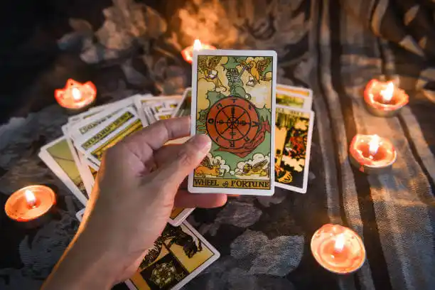 tarot cards Wacousta